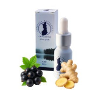 CBD ARCTIC 30 % CBD Mustaherukansiemenöljy + Inkivääri
